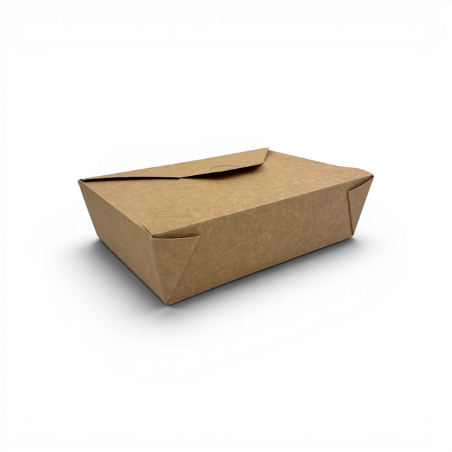 Take-Away Box - 19,7x14x6 cm